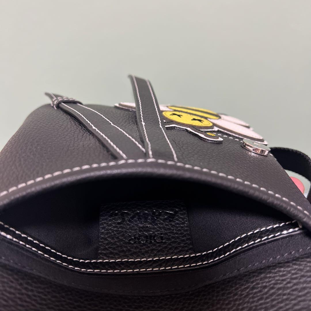 dior homme kaws サドル