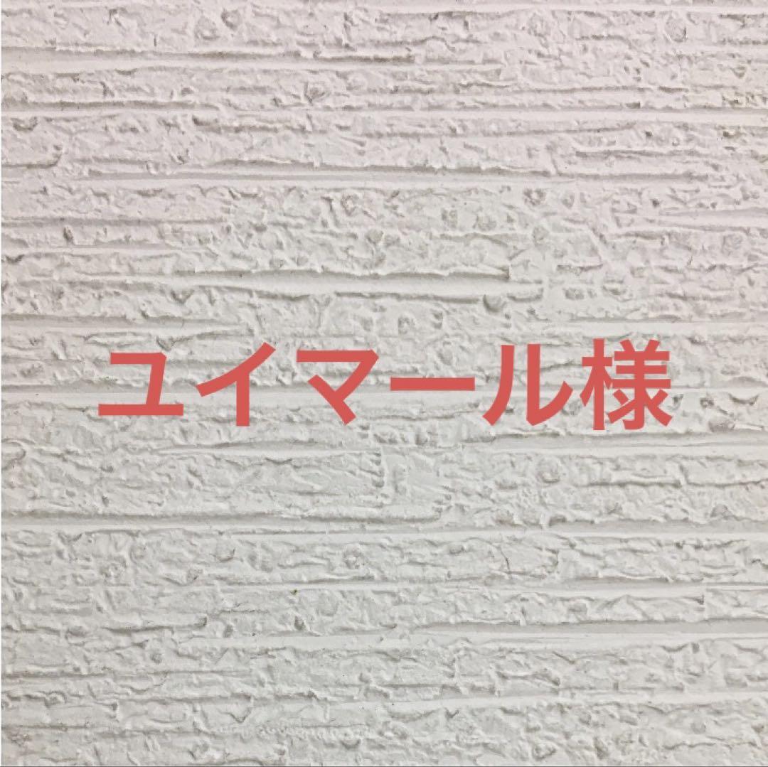 グレインフリーサーモン10キロ