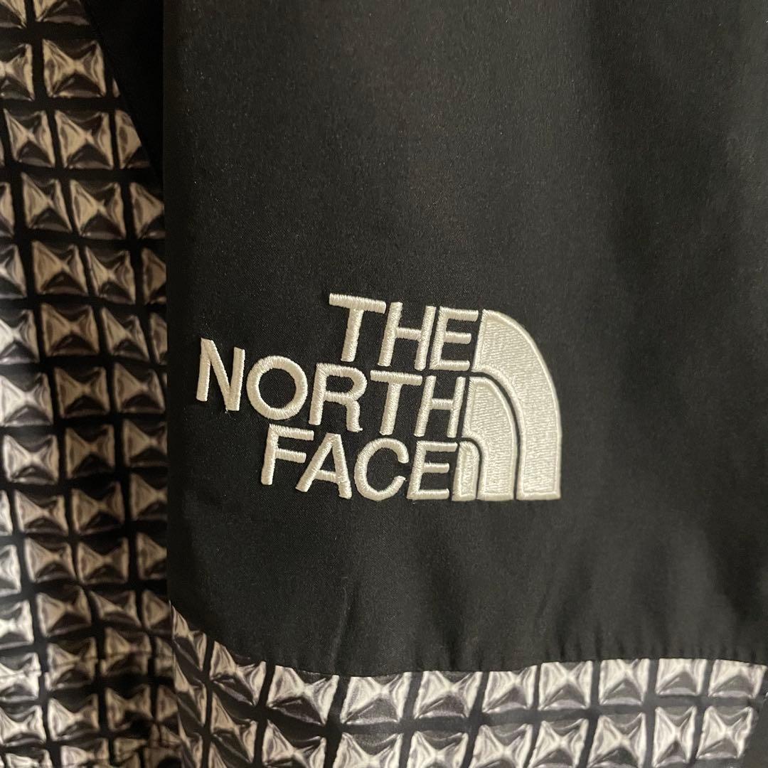 Supreme North Face Mountain Light Jacket