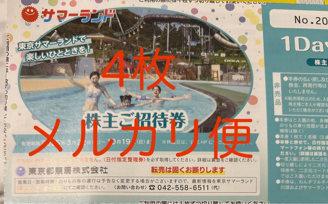 東京サマーランド 1Dayパス 4枚