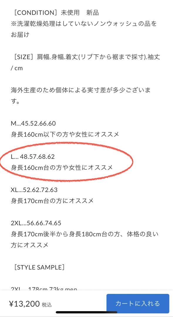 新品•未使用　anytee Financial Independent ロンT