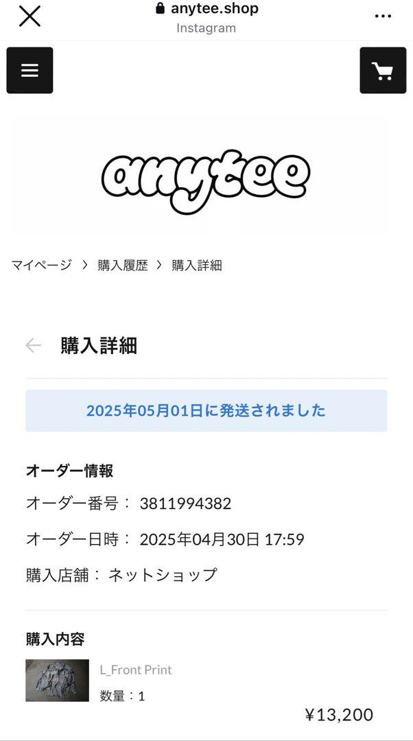 新品•未使用　anytee Financial Independent ロンT