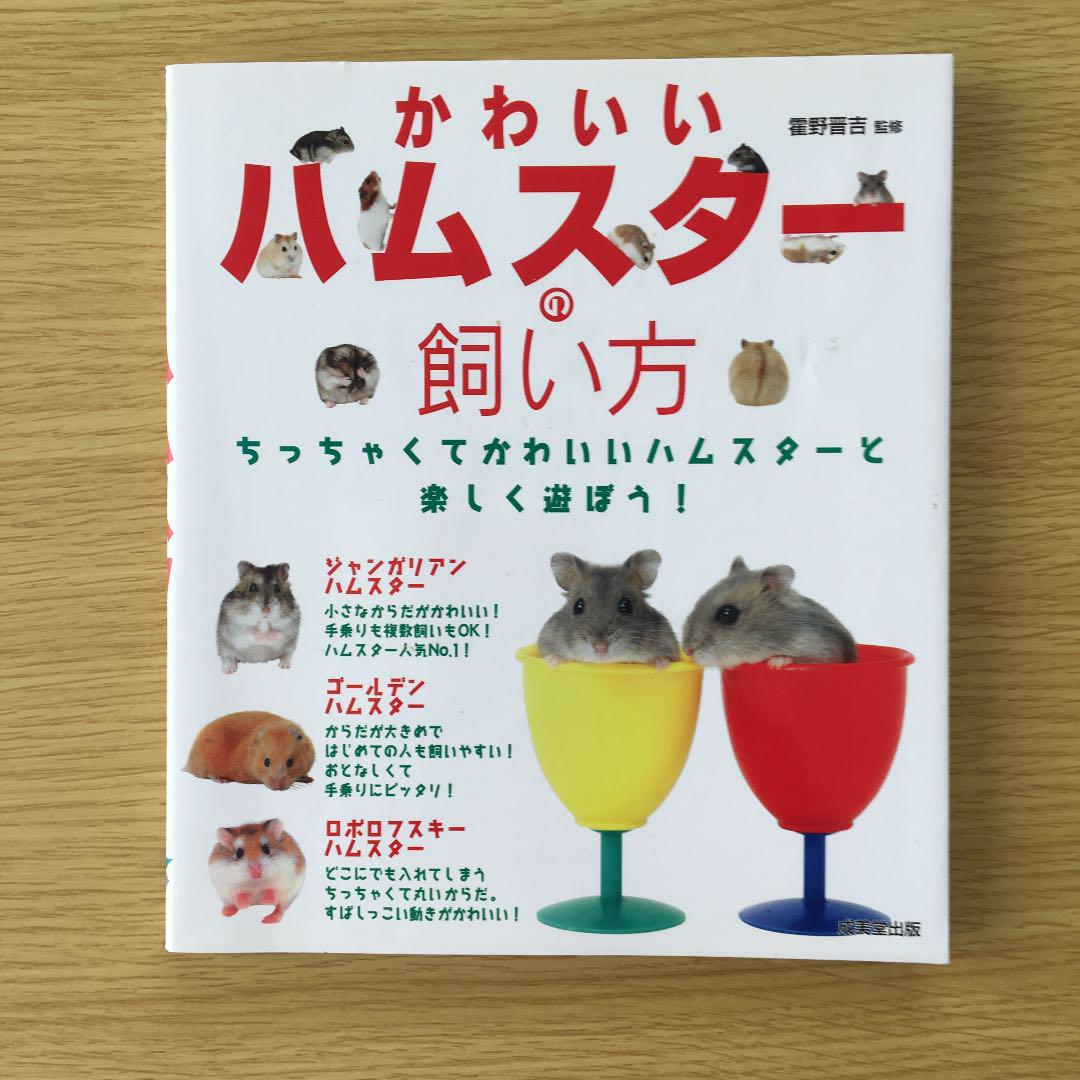 絶品 住まい 暮らし 子育て かわいいハムスターの飼い方 Portalfhnsl Com Br 絶品 住まい 暮らし 子育て かわいいハムスターの飼い方 Portalfhnsl Com Br