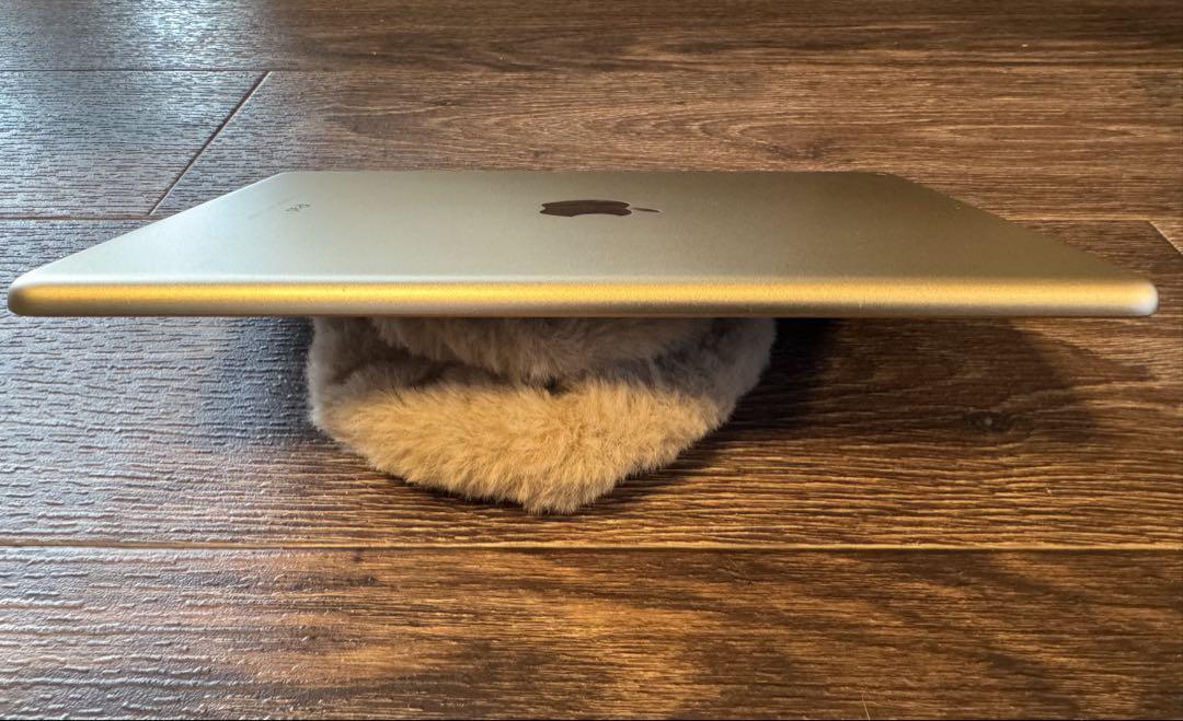 iPad 第5世代 128gb