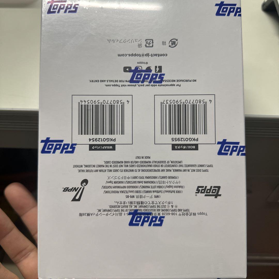 2023年NPBベースボール