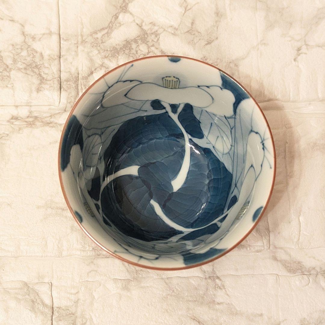 色分山茶花