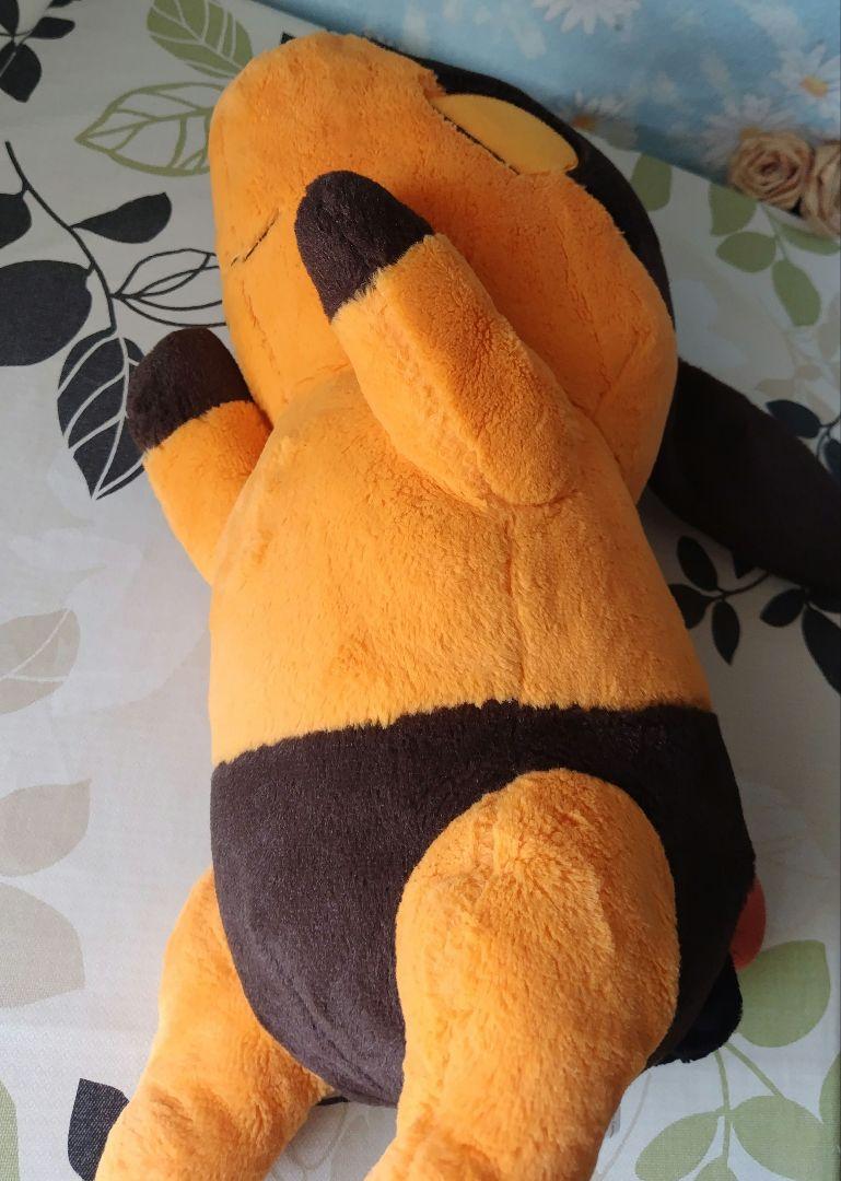 ポケモンセンター 初夢ぬいぐるみ ポカブ