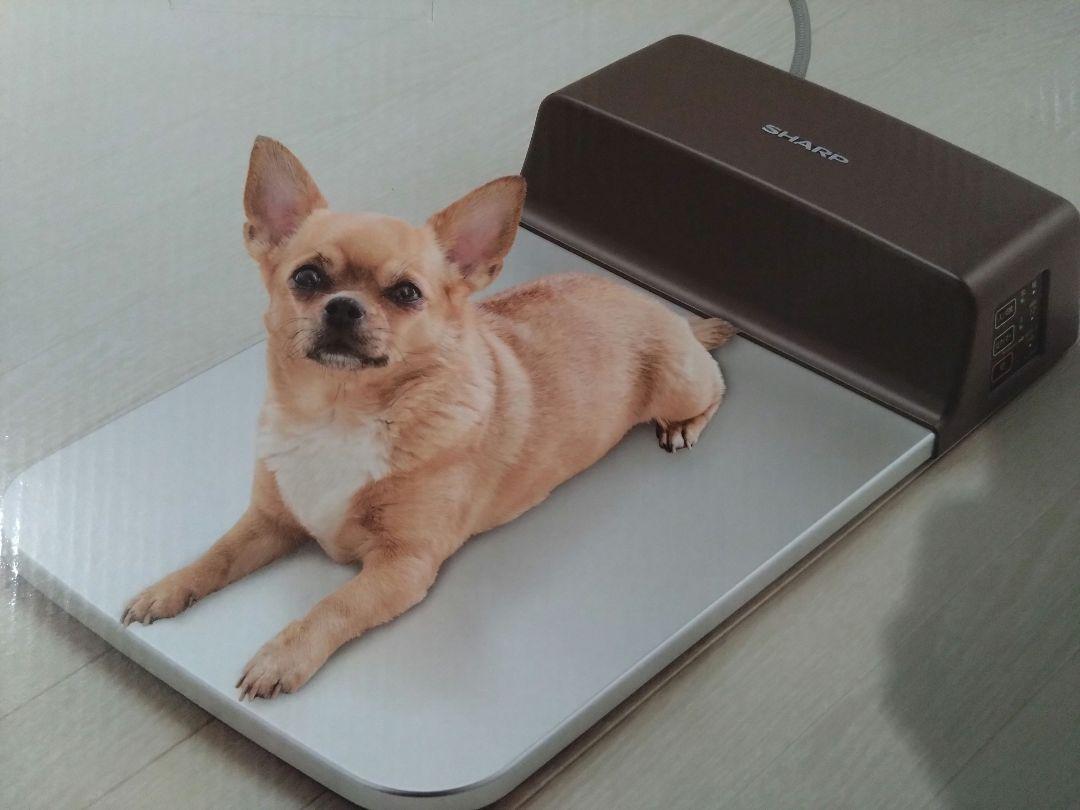SHARP　ペット用冷却プレート 犬 ペット用 冷却プレート SHARP シャープ PL-PT40D-T - 冷暖房