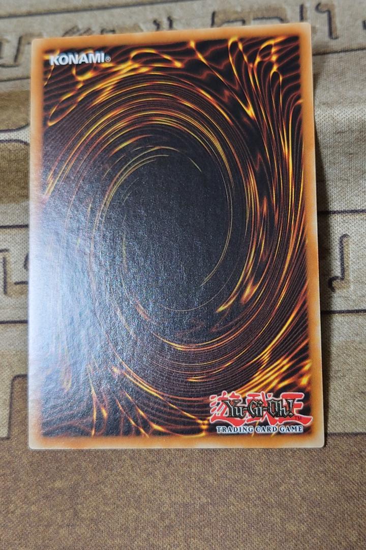 ドラゴンメイド・ティルル 英語版 エラーカード 加工ズレ