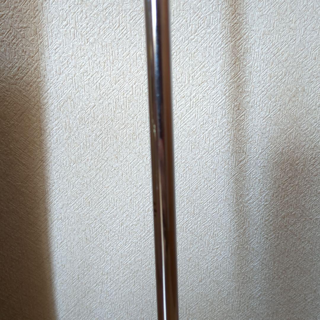 RayCook ブルーグース パター