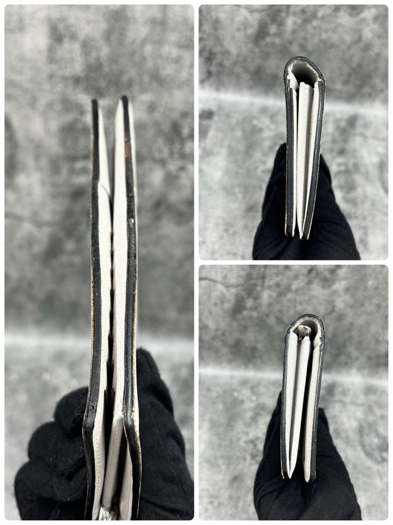 極美品✨ルイヴィトン タイガラマ ポルトフォイユブラザ 長財布 アンタークティカ