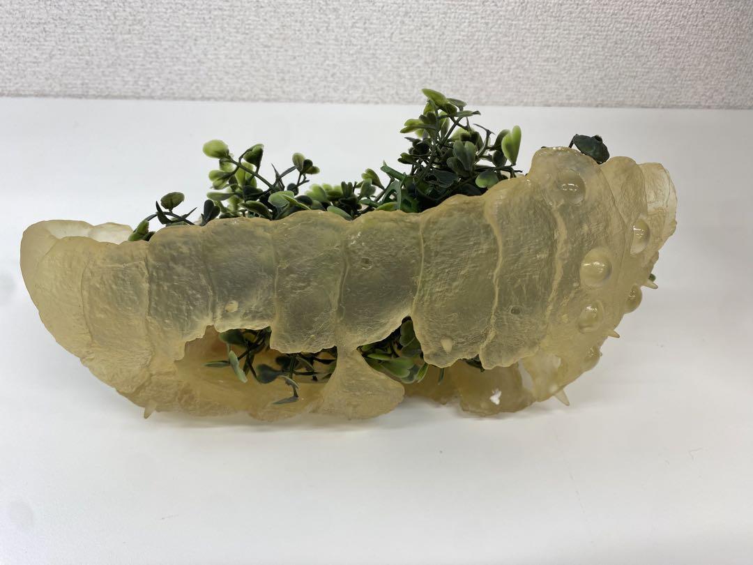 風の谷のナウシカ スプラウト栽培セット オウム 王蟲 ジブリ
