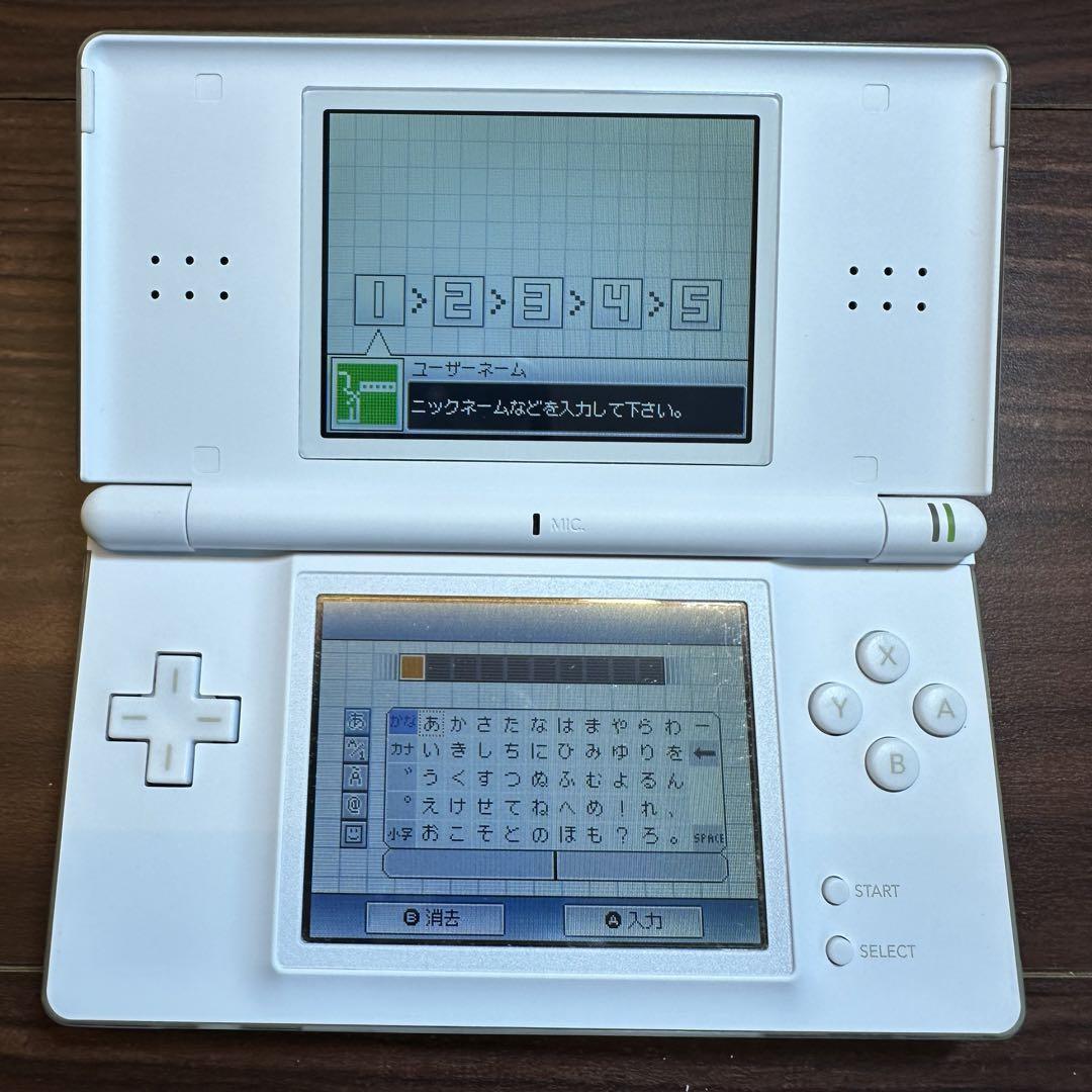 DS Lite