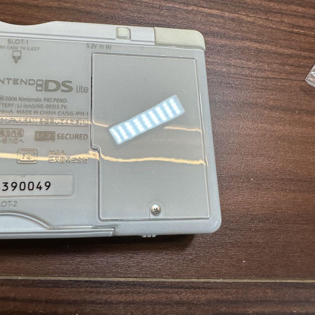 DS