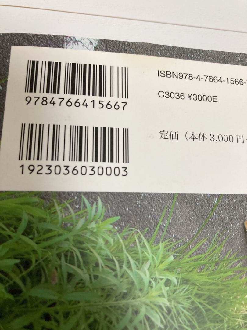 窓あるいは鏡 ネオTV的日常生活批判 窓あるいは鏡 ネオTV的日常生活批判(水島久光, 西兼志) &frasl; 矢口書店