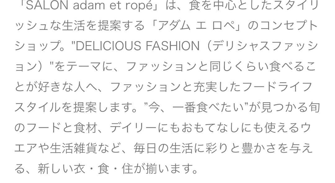 新品タグ付定価2万ほど！SALON adam et rope'＊プリントトップス