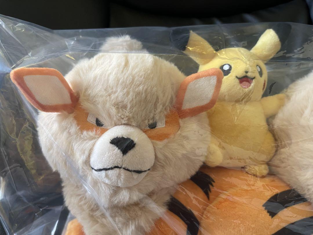 ポケモン　マスキングテープ　メタモンセット