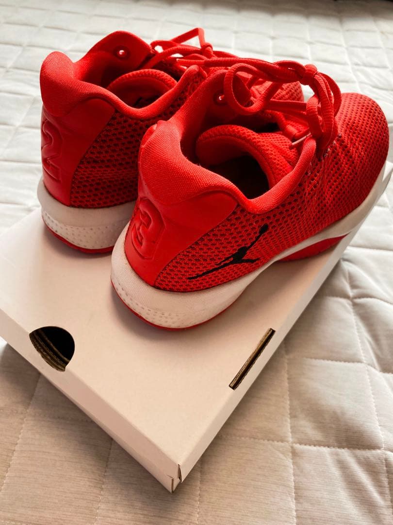 初回限定】 ナイキジョーダン スニーカー - www.wiseasian.edu.vn