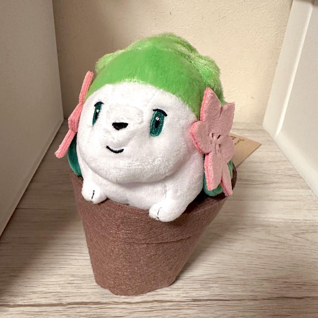 Pokmon Grassy Gardening モクロー ぬいぐるみ Amazon.co.jp: ポケモンセンターオリジナル ぬいぐるみ Pokémon