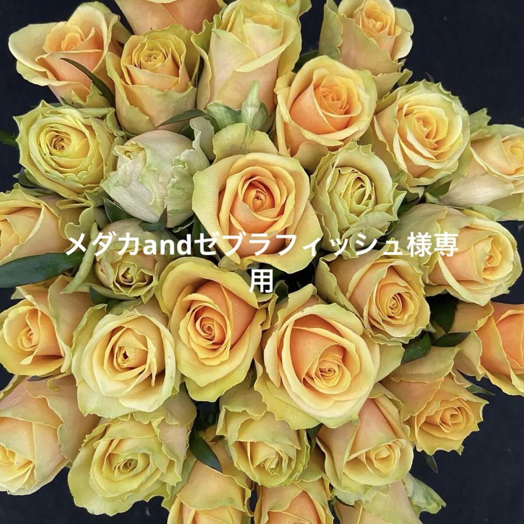 メダカandゼブラフィッシュ様専用 80本 ラッピング込み　クール便対応