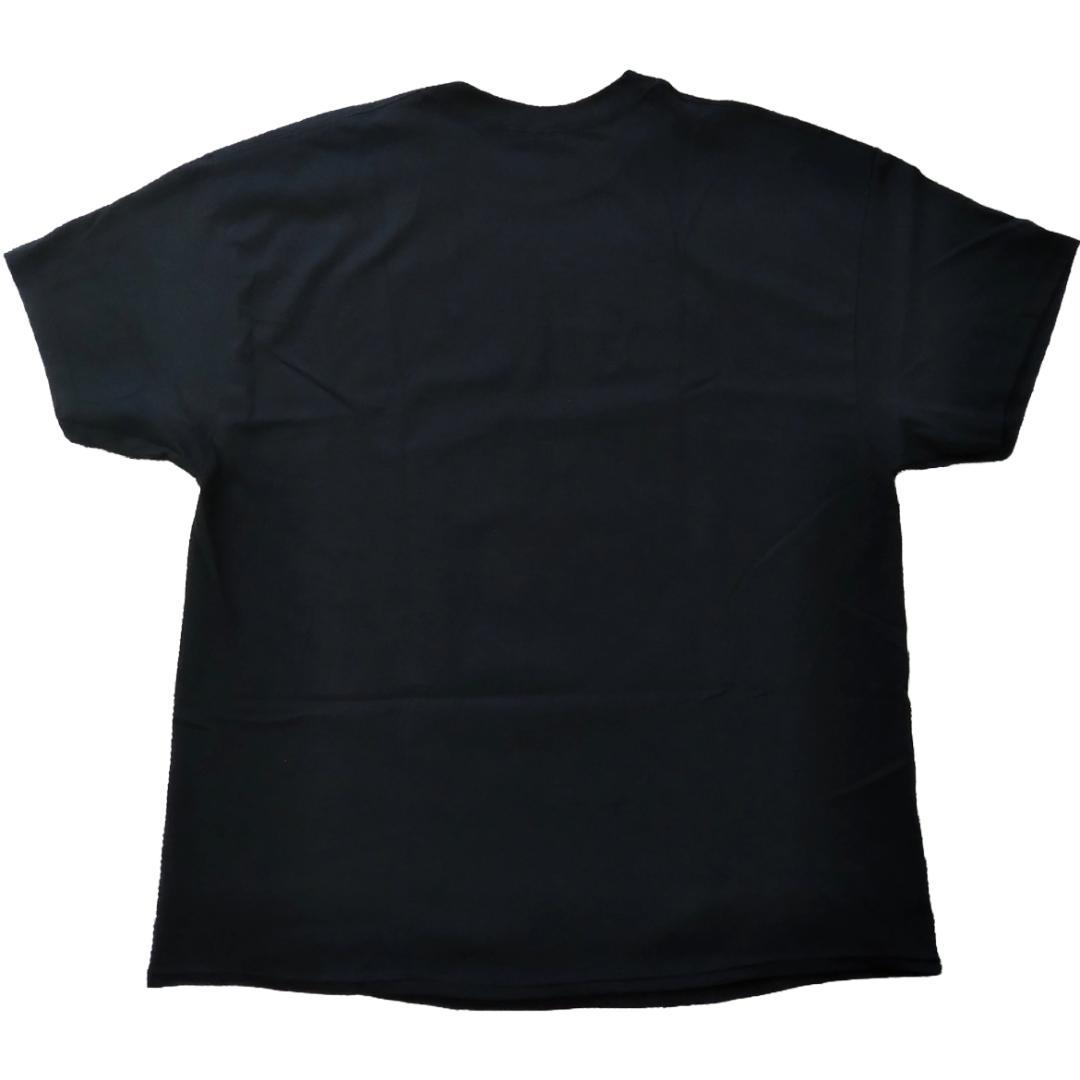 鬼滅の刃 Tシャツ 黒 柱稽古編 アニメT 海外オフィシャル 鬼殺隊 リブなしロングスリーブTシャツ [アニメ「鬼滅の刃