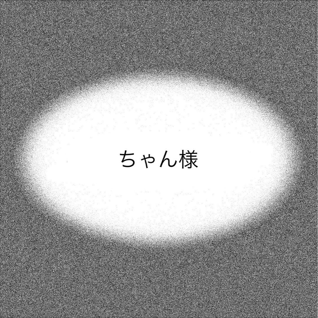 ちゃん様 専用ページ