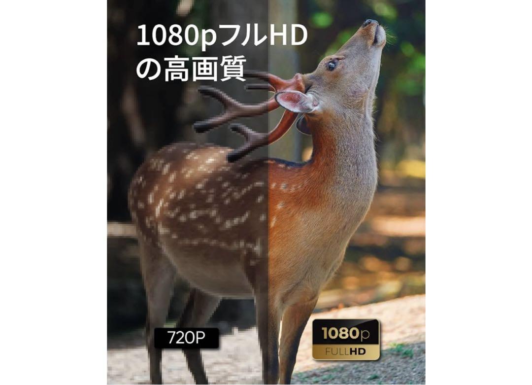プロジェクター NOMVDIC X300