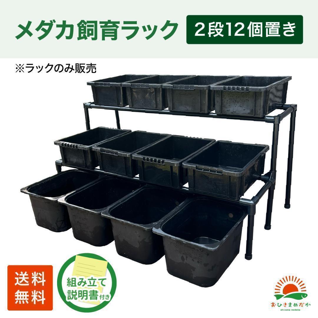 ★メダカ飼育ラック黒2段12個置き★ めだか飼育棚NVBOXビオトープdag
