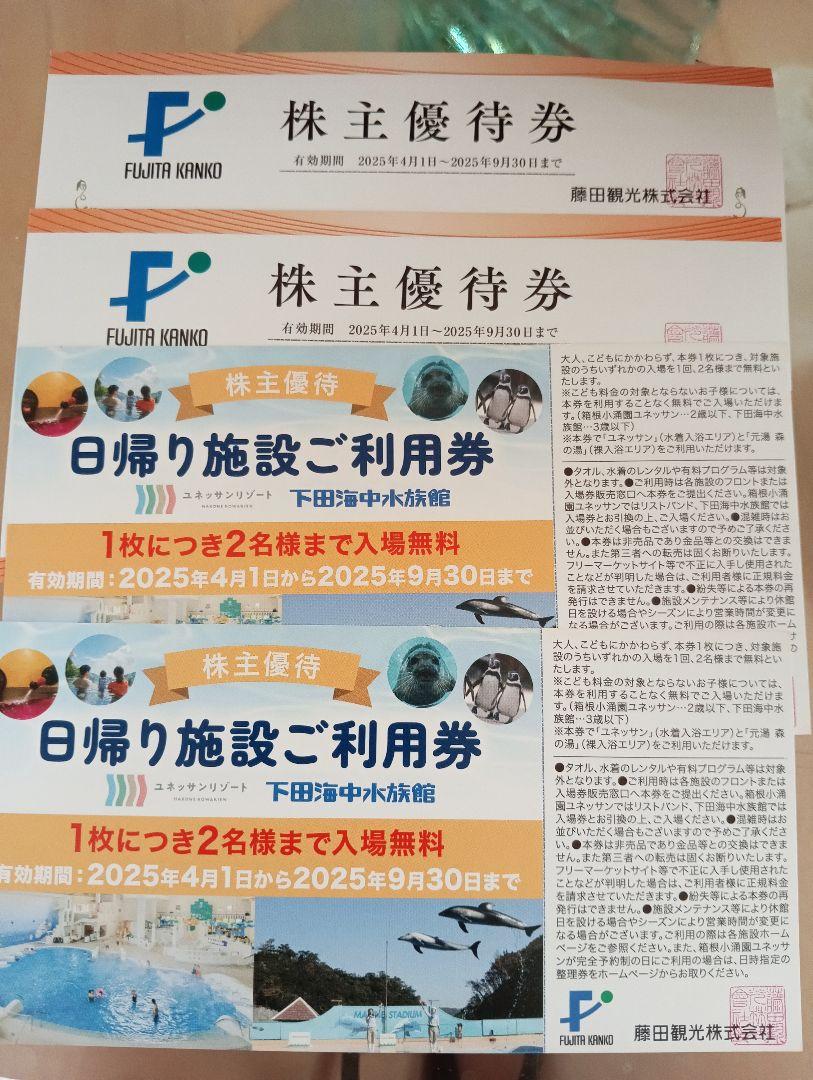 藤田観光　株主優待　日帰り施設　箱根小涌園ユネッサン下田海中水族館2枚セット