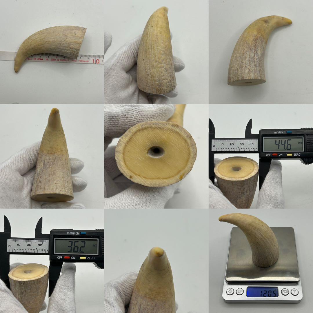 キ*ミ様 鯨の歯 4本 総重量542.6g レア 希少 マッコウクジラ 鯨の牙