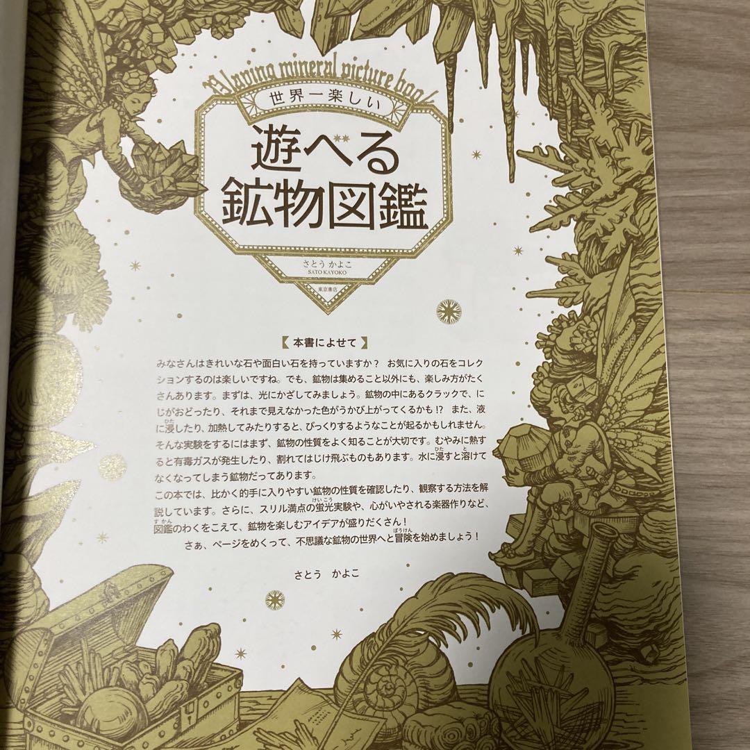 世界一楽しい 遊べる鉱物図鑑 - メルカリ