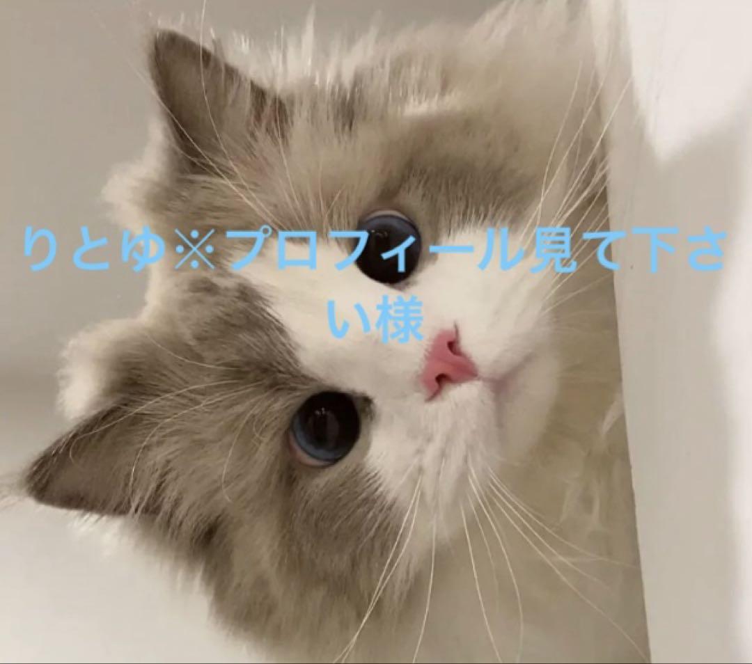 りとゆ プロフィール見て下さい様