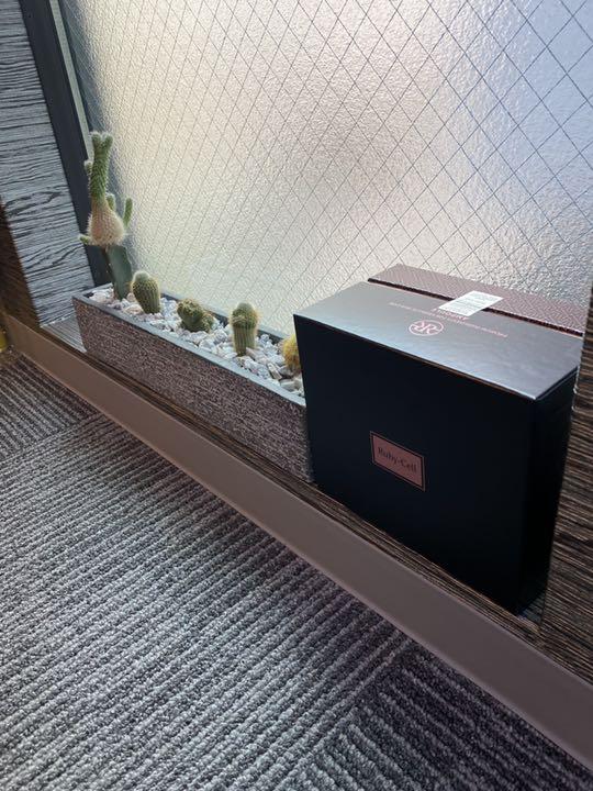 キララ様　専用
