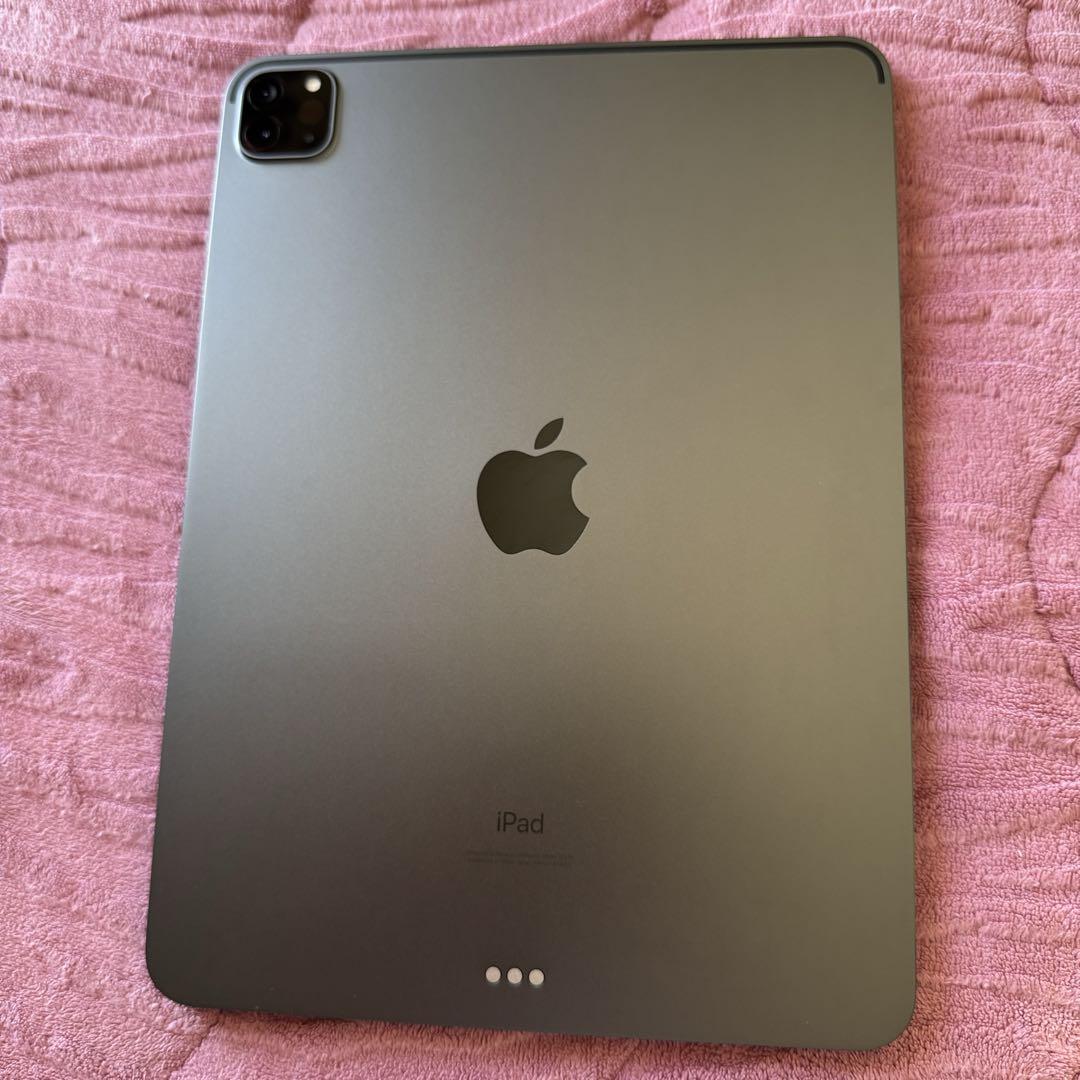 iPad Pro 11インチ(第2世代)256GBスペースグレイWi-Fiモデル