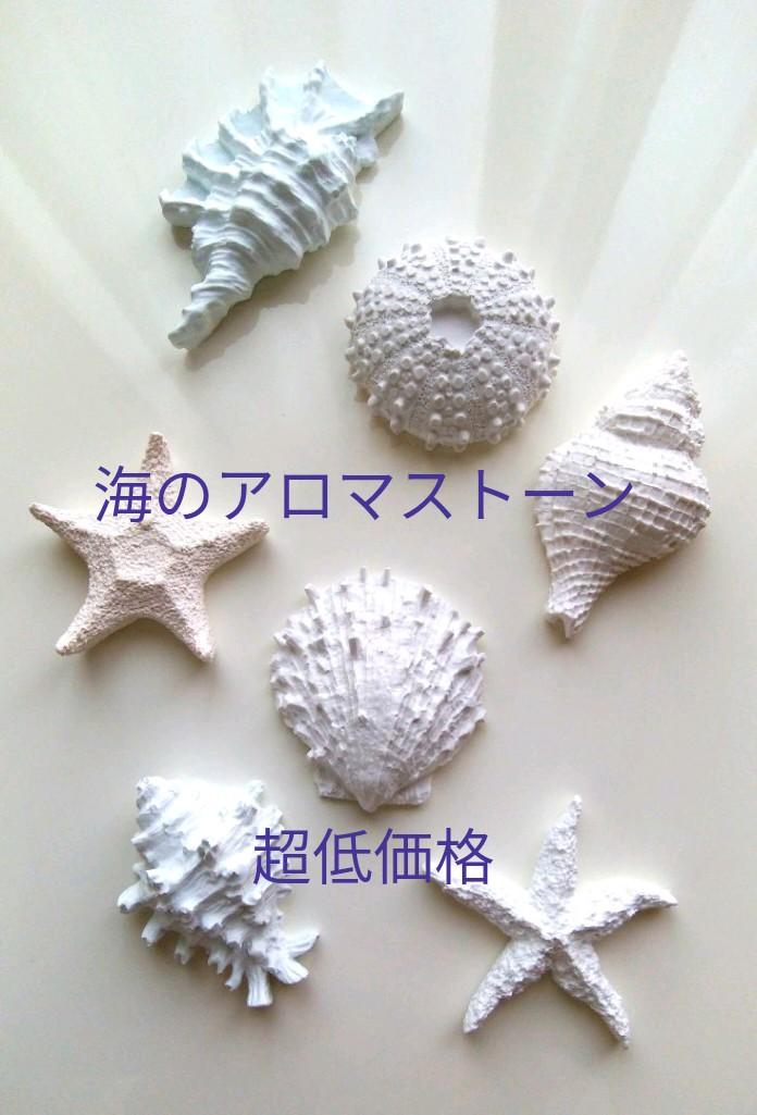 ⭐海のアロマストーン シェルヒトデ⭐