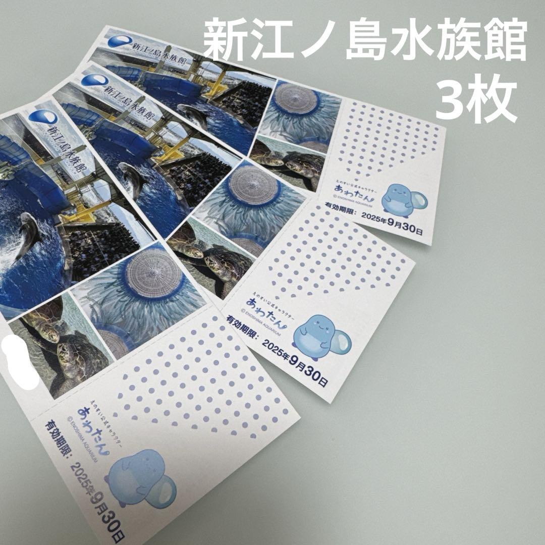 新江ノ島水族館ご招待券3枚無料券入館券江の島夏レジャー夏休み博物館家族旅行水族館