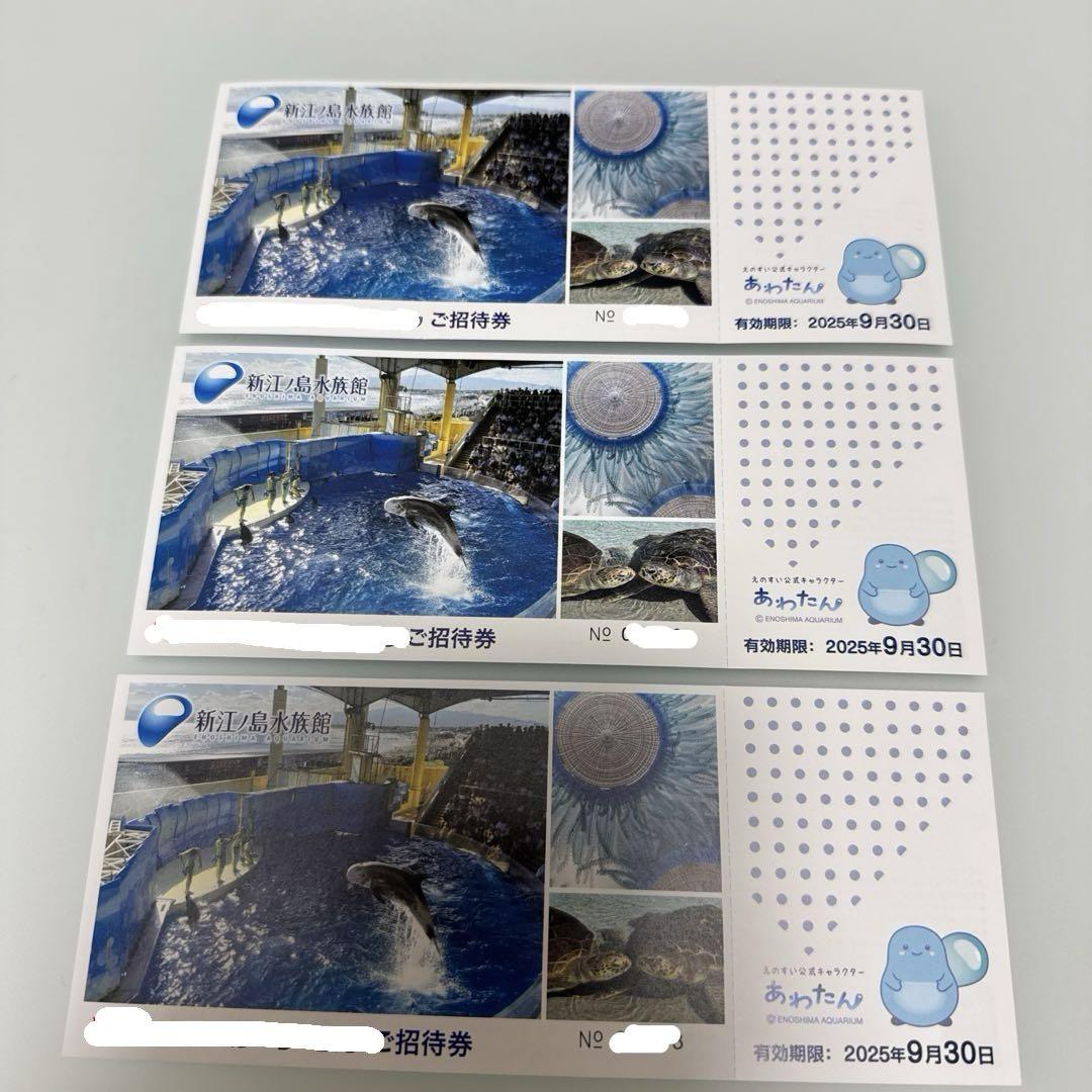 新江ノ島水族館ご招待券3枚無料券入館券江の島夏レジャー夏休み博物館家族旅行