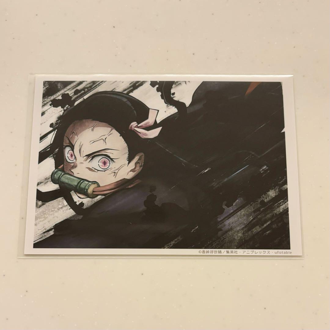 鬼滅の刃　立志編　ブロマイド　op 禰豆子 1話 立志編ブロマイド 炭治郎を庇う禰豆子 - メルカリ