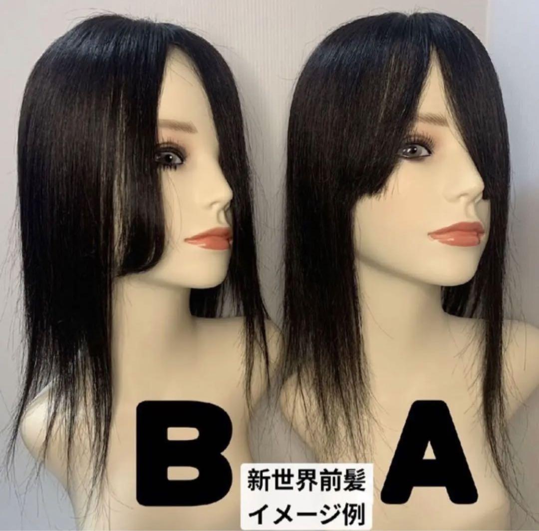 真2025新世界超人工肌レミー100%ウィッグ　ヘアピース　総手植え部分ウィッグ