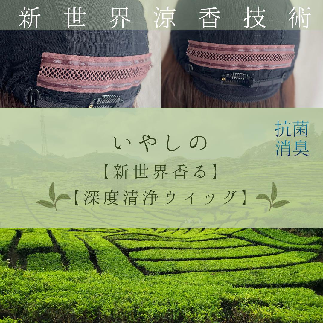 真2025新世界超人工肌レミー100%ウィッグ　ヘアピース　総手植え部分ウィッグ
