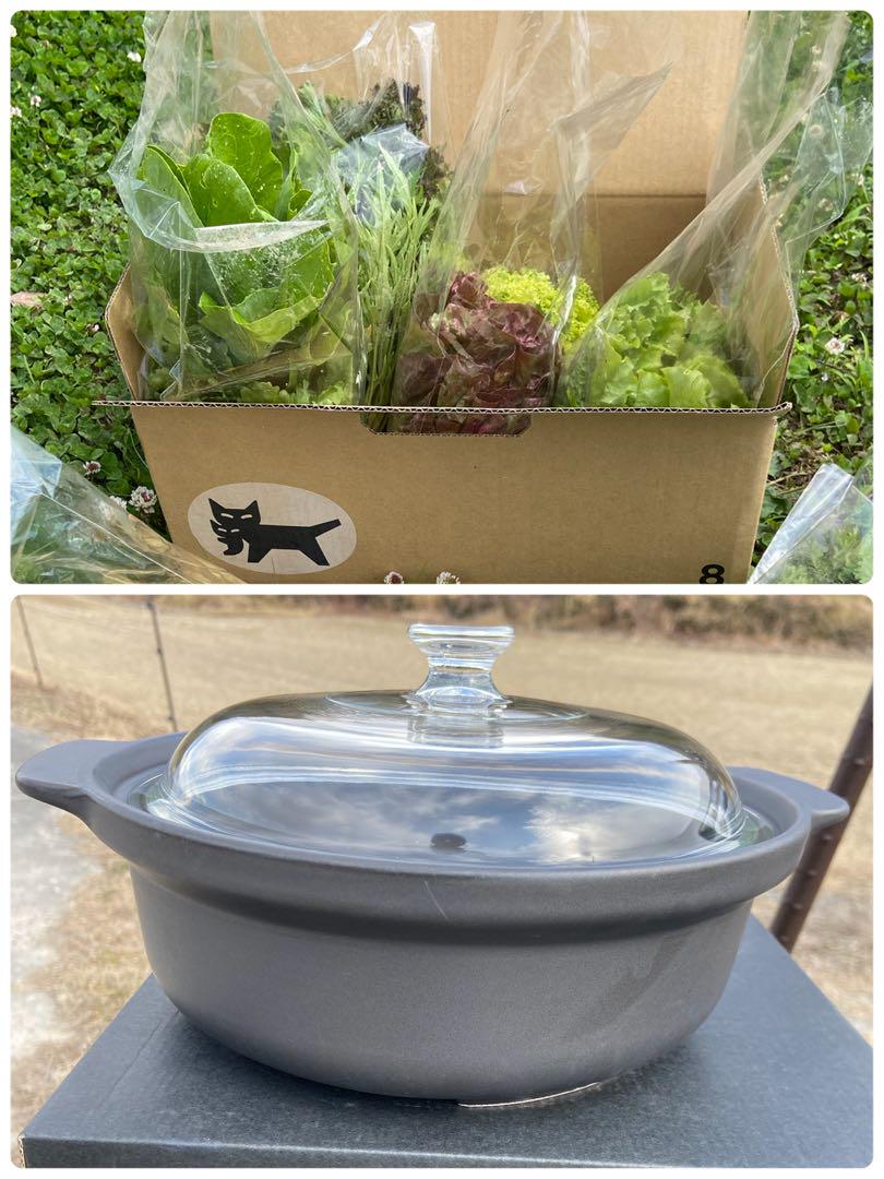 Natural farming 東城百合子 七田式 重ね煮 腸脳相関 菌活