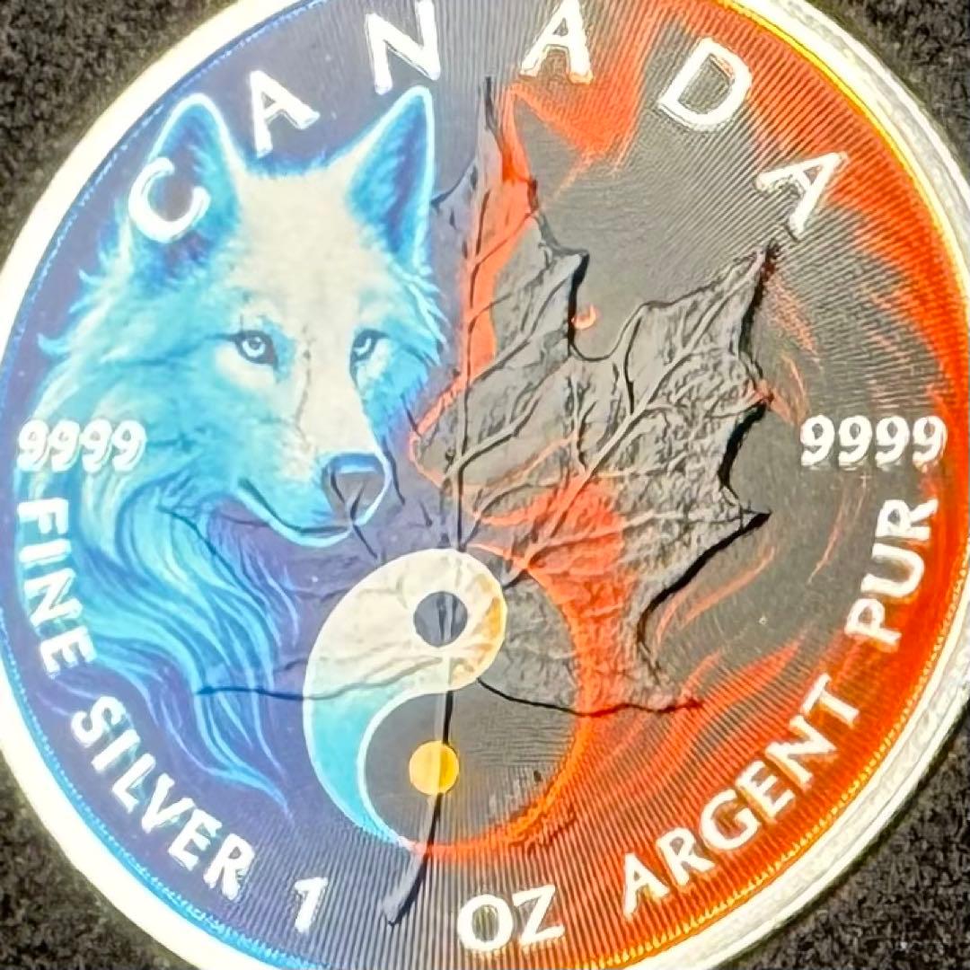 世界100枚限定！ メイプルリーフ 銀貨 カラー スズメバチ 森の自然融和 世界100枚限定！ メイプルリーフ 銀貨 カラー スズメバチ 森の
