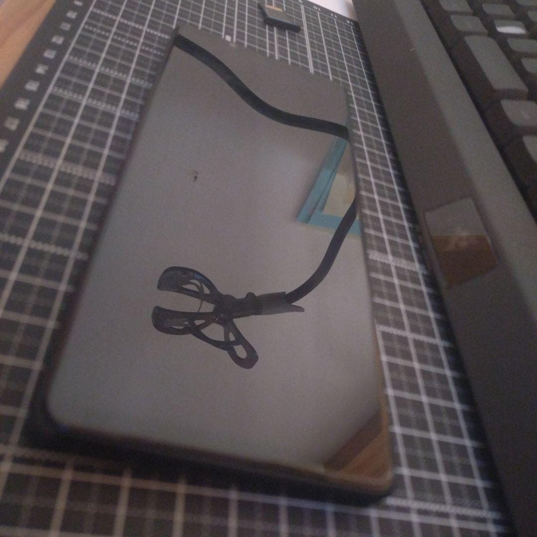Sランク個体