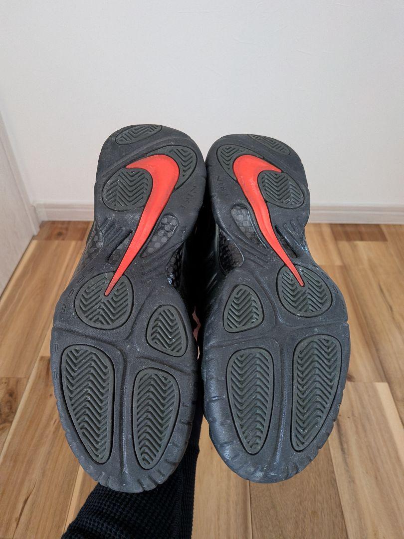 NIKE　ナイキ　エアフォームポジットプロ　セコイア