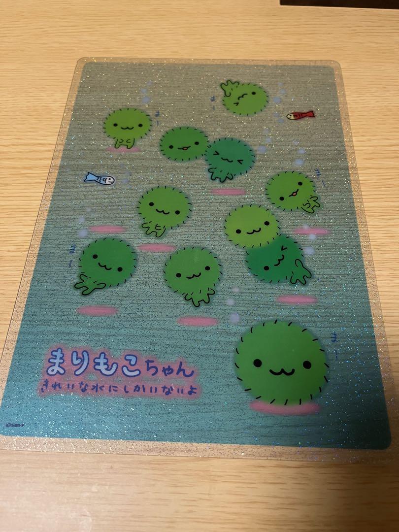 まりもこちゃん 下敷き