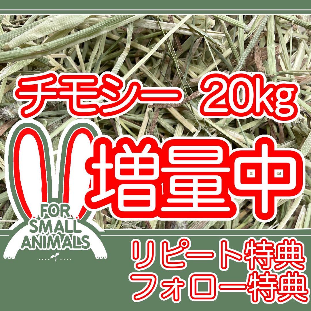 １着でも送料無料 カナダ産 チモシー 20kg - メルカリ フード・おやつ