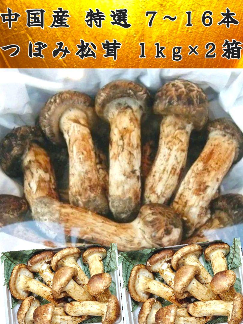 中国産 L~2L特大 1kg×2箱【天然つぼみ松茸 約1kg×2箱】7～16本