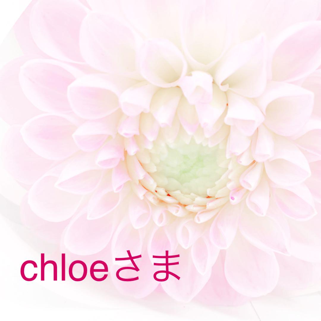 chloeさま専用