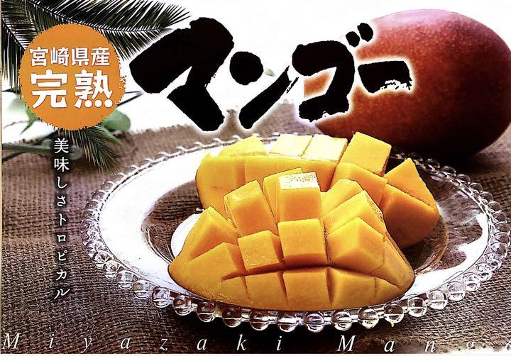 安い好評 宮崎県産 完熟マンゴー 加工用 3kg BAEUe-m38451965489 SALE大得価