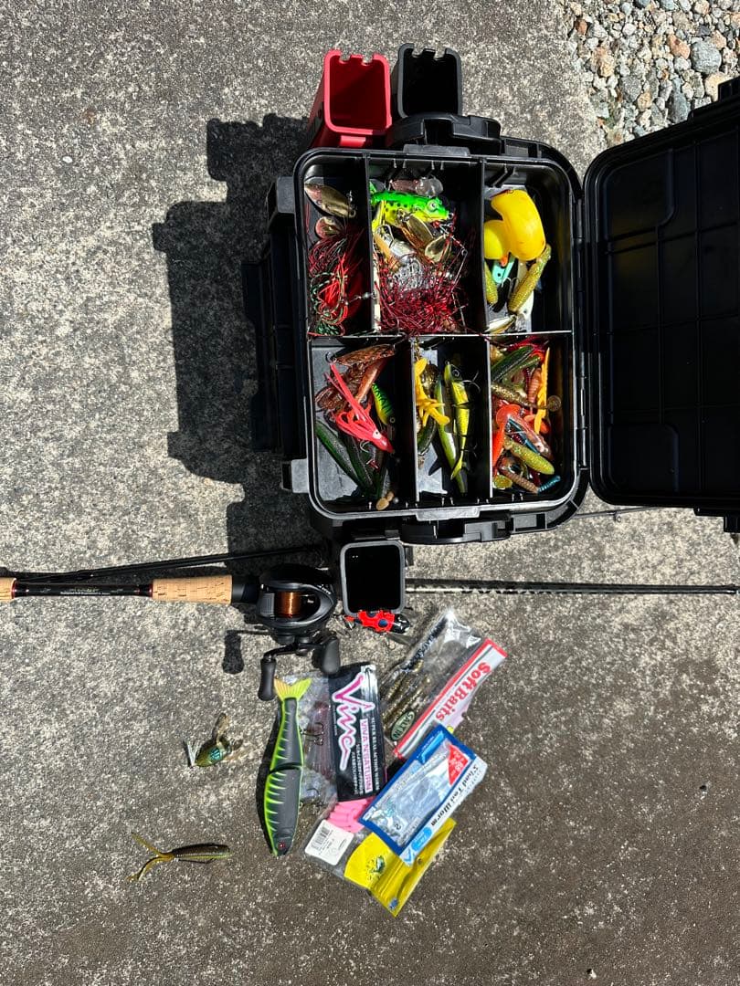 バス釣りセット ほぼワーム　ぼったくりセット